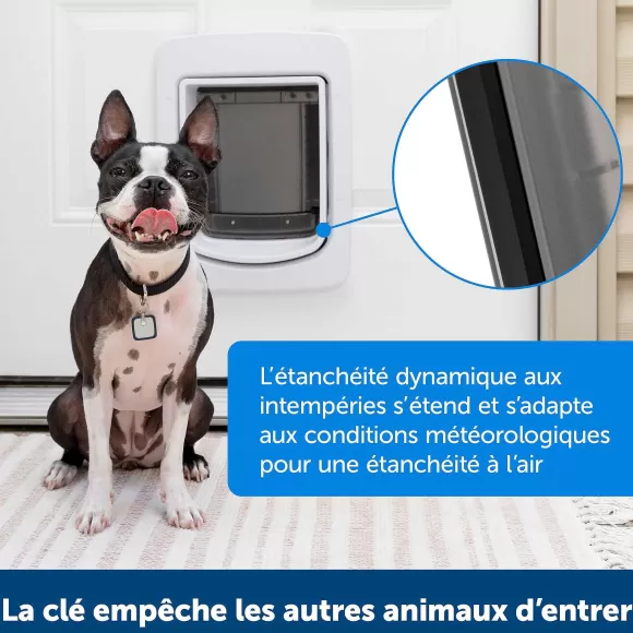 PetSafe Adaptateur Pour Porte Connect E Pour Animaux Smartdoor