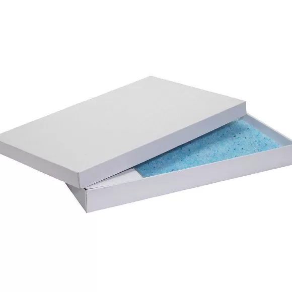 PetSafe Bac De Rechange Pour Liti Re Cristal Bleu Scoopfree (Pack De 1)