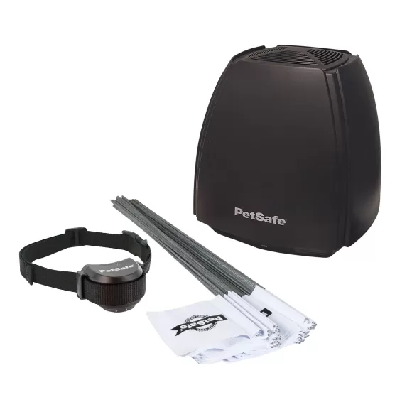 PetSafe Cl Ture Anti-Fugue Sans Fil Stay & Play® Avec Collier Piles Rempla Ables