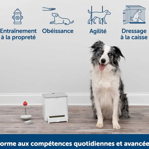 PetSafe Dispositif De Dressage Par R Compense T L Command Teach & Treat De ®