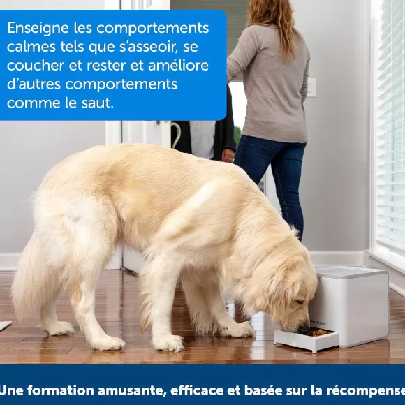 PetSafe Dispositif De Dressage Par R Compense T L Command Teach & Treat De ®