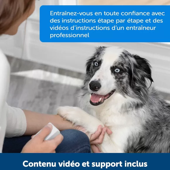 PetSafe Dispositif De Dressage Par R Compense T L Command Teach & Treat De ®