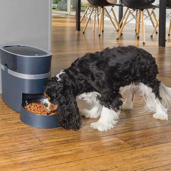PetSafe Distributeur De Croquettes Connect Smart Feed De ® Pour Chiens Et Chats