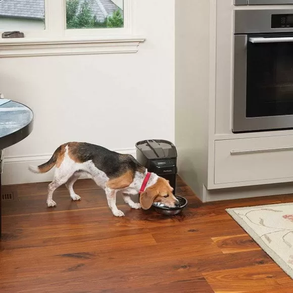 PetSafe Distributeur Digital De Nourriture Pour Animaux Domestiques Healthy Pet Simply Feed