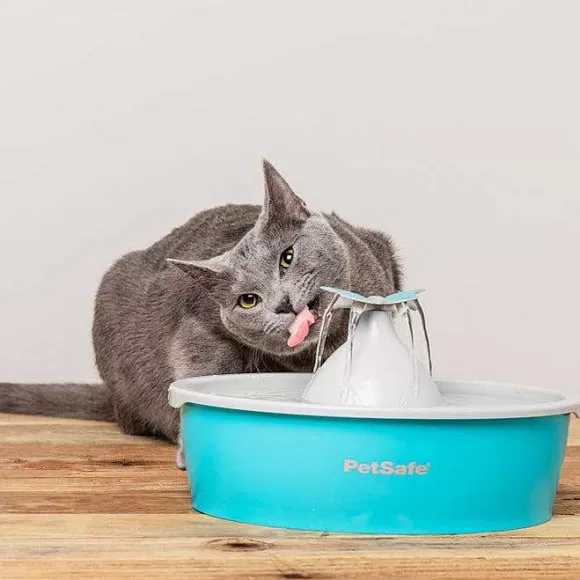 PetSafe Fontaine Eau Papillon Drinkwell® De Pour Animaux De Compagnie