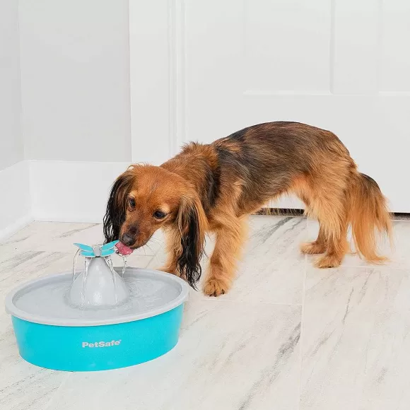 PetSafe Fontaine Eau Papillon Drinkwell® De Pour Animaux De Compagnie