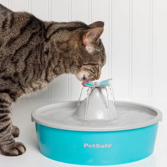 PetSafe Fontaine Eau Papillon Drinkwell® De Pour Animaux De Compagnie