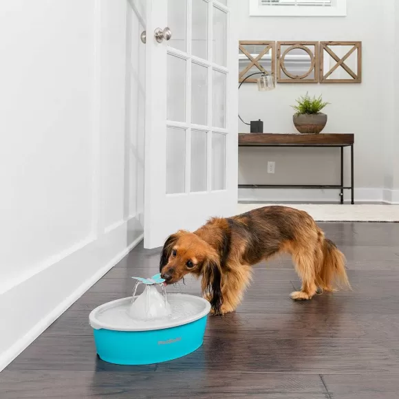 PetSafe Fontaine Eau Papillon Drinkwell® De Pour Animaux De Compagnie