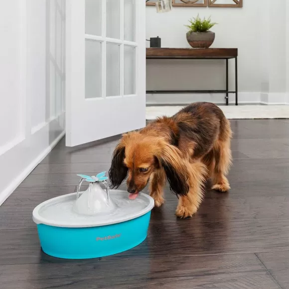 PetSafe Fontaine Eau Papillon Drinkwell® De Pour Animaux De Compagnie
