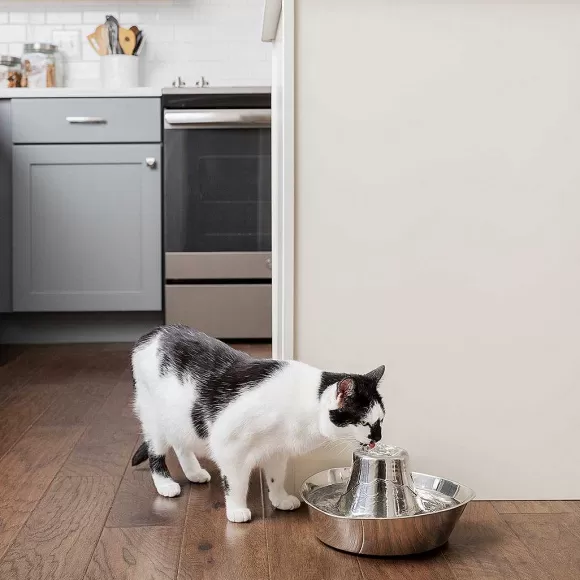 PetSafe Fontaine En Acier Inoxydable ® Pour Animaux De Compagnie Seaside