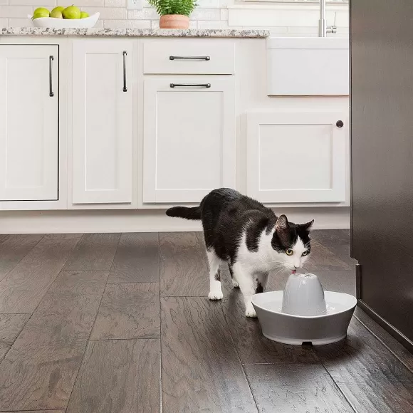 PetSafe Fontaine En C Ramique ® Pour Animaux De Compagnie Streamside