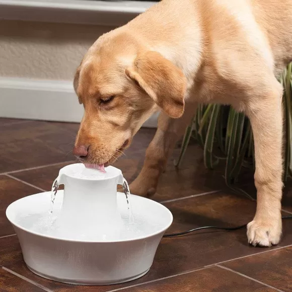 PetSafe Fontaine En C Ramique Pour Animaux De Compagnie Drinkwell® Avalon