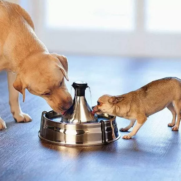PetSafe Fontaine Pour Animaux De Compagnie En Acier Inoxydable 360 Drinkwell®