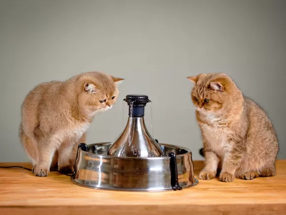PetSafe Fontaine Pour Animaux De Compagnie En Acier Inoxydable 360 Drinkwell®