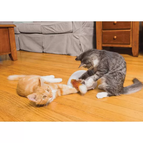 PetSafe Jouet Terrier Du Renard Jeu Casse-T Te Automatique Pour Chats