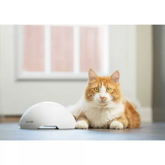 PetSafe Jouet Terrier Du Renard Jeu Casse-T Te Automatique Pour Chats