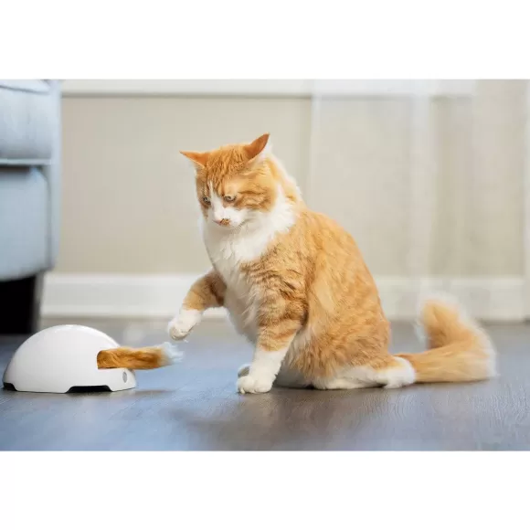 PetSafe Jouet Terrier Du Renard Jeu Casse-T Te Automatique Pour Chats