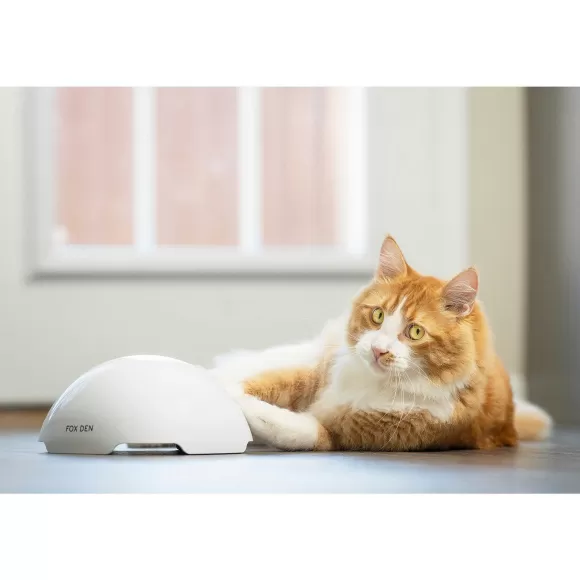 PetSafe Jouet Terrier Du Renard Jeu Casse-T Te Automatique Pour Chats
