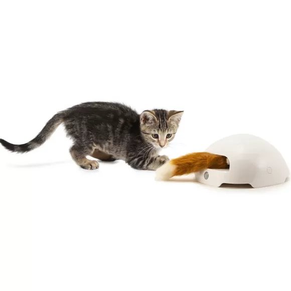 PetSafe Jouet Terrier Du Renard Jeu Casse-T Te Automatique Pour Chats