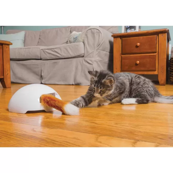PetSafe Jouet Terrier Du Renard Jeu Casse-T Te Automatique Pour Chats