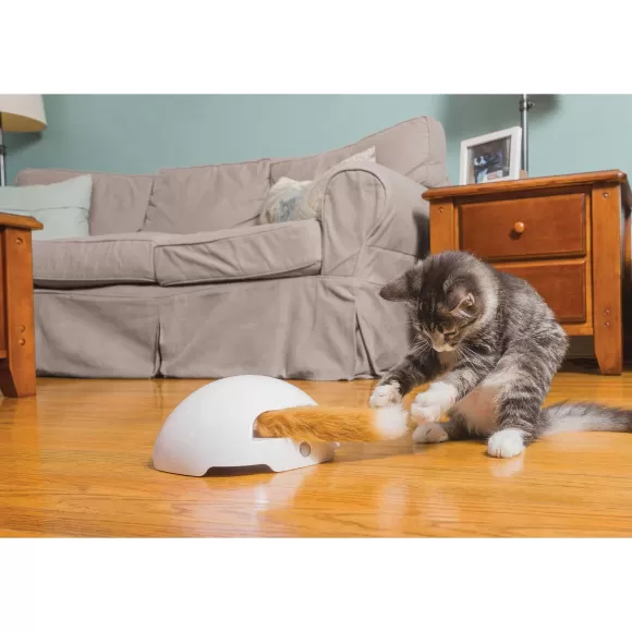 PetSafe Jouet Terrier Du Renard Jeu Casse-T Te Automatique Pour Chats