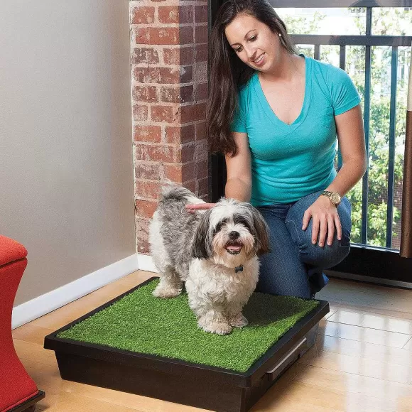 PetSafe Kit Jetable Pour Urine Pee-Pod Pour Toilettes Pet Loo (Pack De 7)