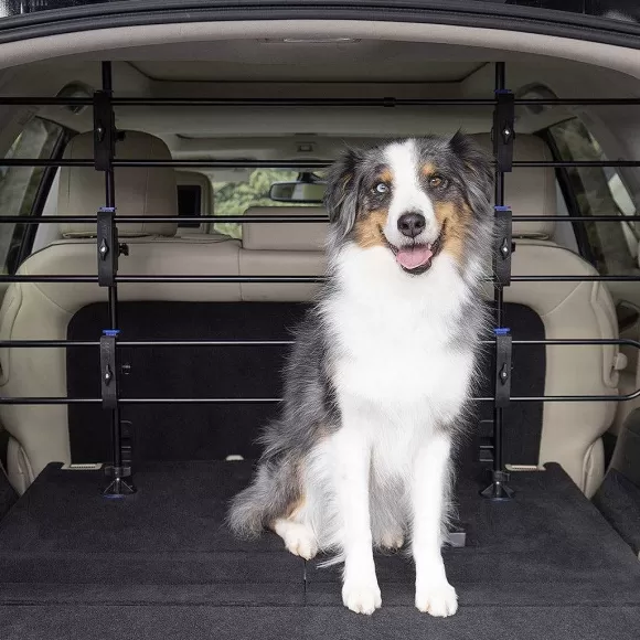 PetSafe Protection En M Tal Pour Chiens Happy Ride De ®