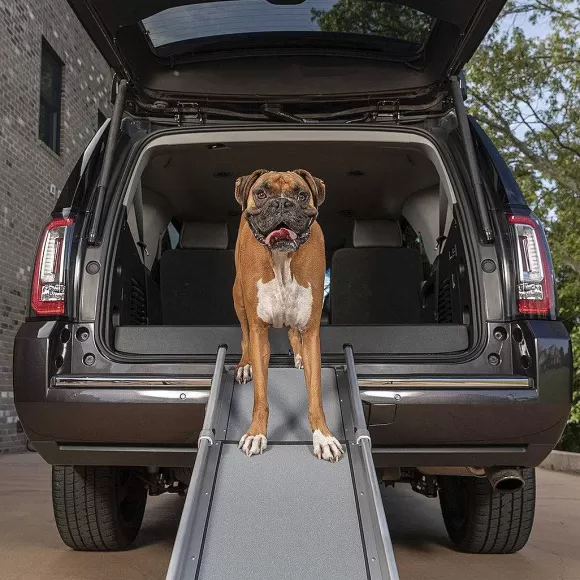 PetSafe Rampe T Lescopique Compacte Pour Chiens Happy Ride De ®