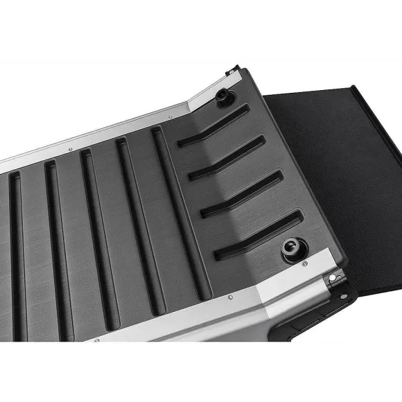 PetSafe Rampe T Lescopique Compacte Pour Chiens Happy Ride De ®