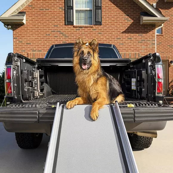 PetSafe Rampe T Lescopique Extra Longue Pour Chiens Happy Ride De ®