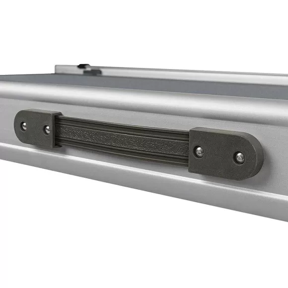 PetSafe Rampe T Lescopique Extra Longue Pour Chiens Happy Ride De ®
