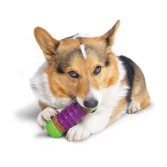 PetSafe Recharges Pour Friandises De Forme Circulaire Ultra- Paisses Busy Buddy®